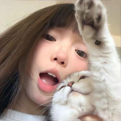 寻狗记